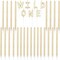 31 Count Gold Long Thin Birthday Cake Candles with Holder and Letter Candle "Wild ONE" Cake Topper Value Pack, for Women Girls Party Decoration Celebration